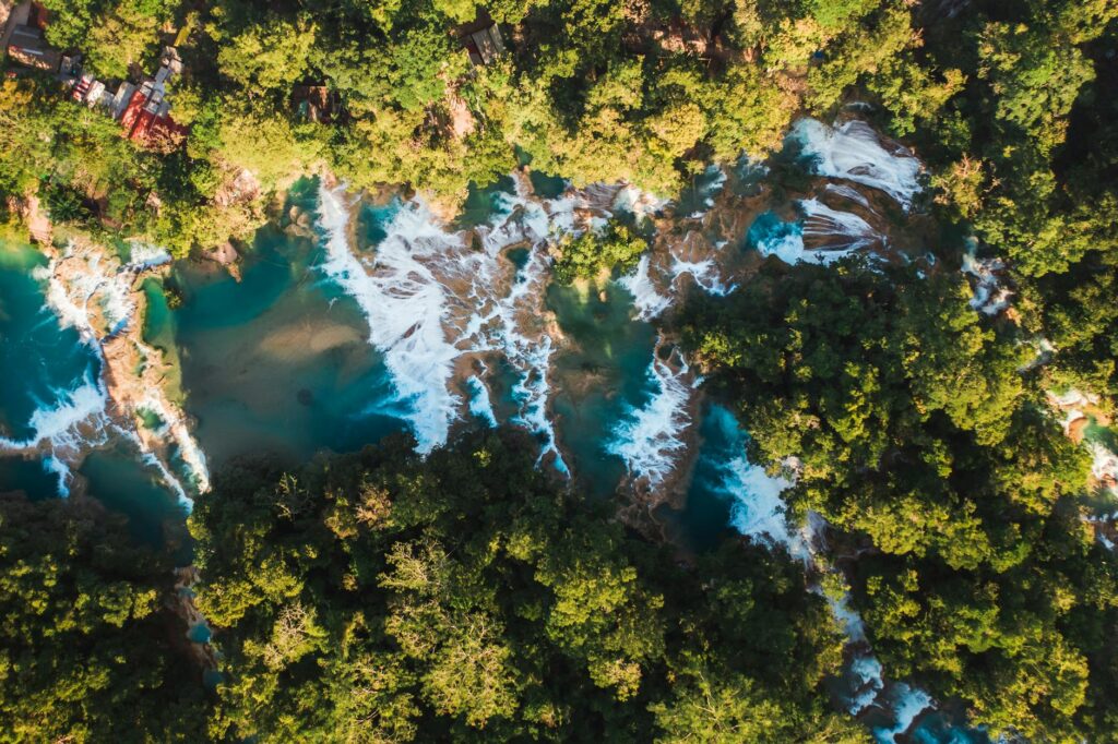 Green Trees and Blue Lake