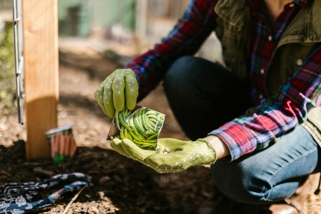 Woman in Gloves Holding a Packet of Seeds