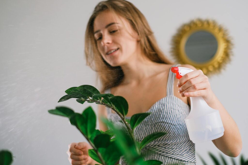 Woman spraying water on green plant