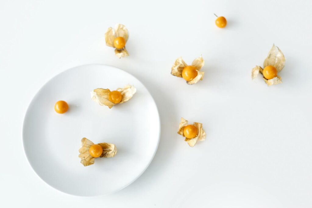 White Ceramic Plate With Yellow and White Food